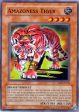 Amazoness Tiger [DR1-EN118] Common Sale